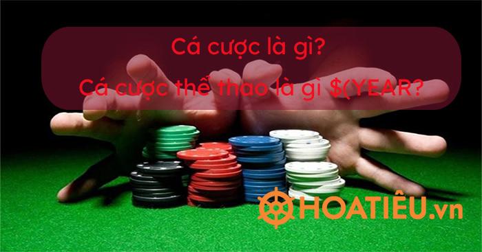 Cập nhật bong da 24h viet nam mới nhất hôm nay cùng tin tức bong da 24h viet nam hấp dẫn