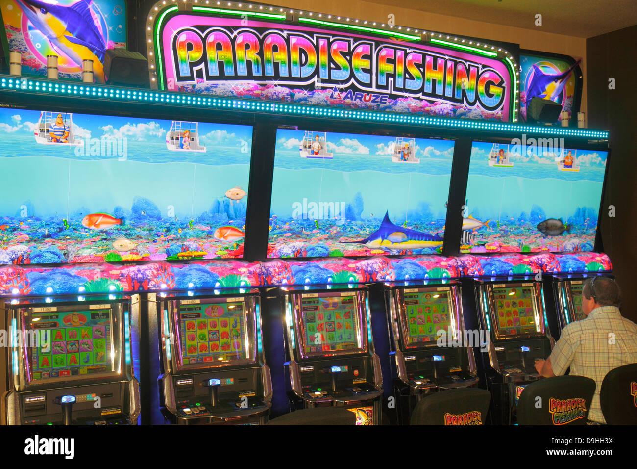 Khám phá game vui bắt cua cực hấp dẫn cùng mẹo chơi game vui bắt cua dễ thắng