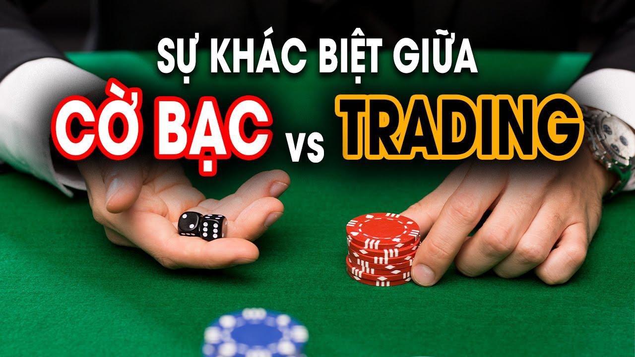 Khám phá thế giới giải trí cùng cho choi y8 và trải nghiệm hấp dẫn tại cho choi y8