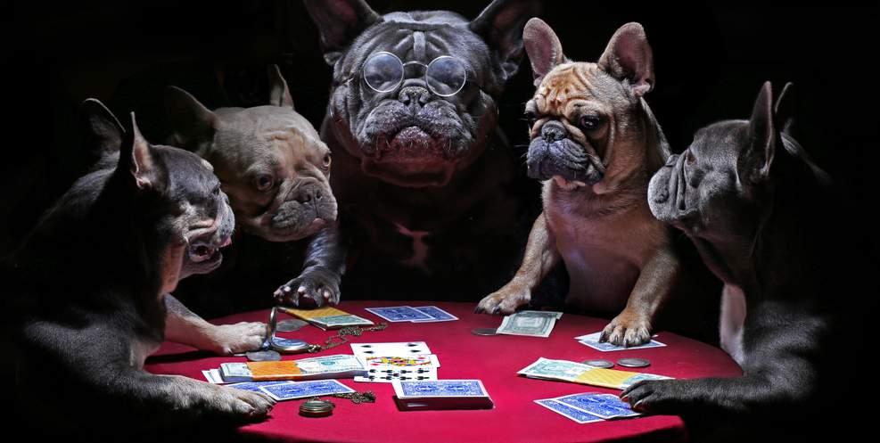 Hướng dẫn đăng nhập Sohagame VN nhanh chóng và dễ dàng